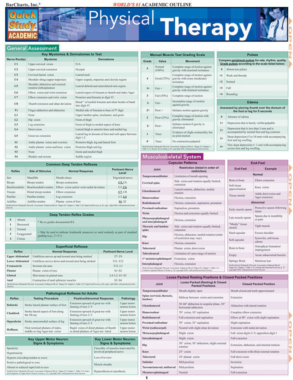 Physical Therapy Chart