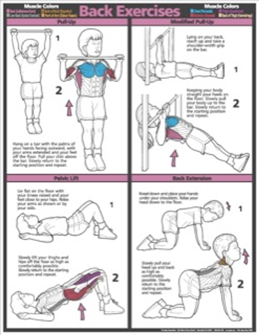 Children Back Exercise Poster