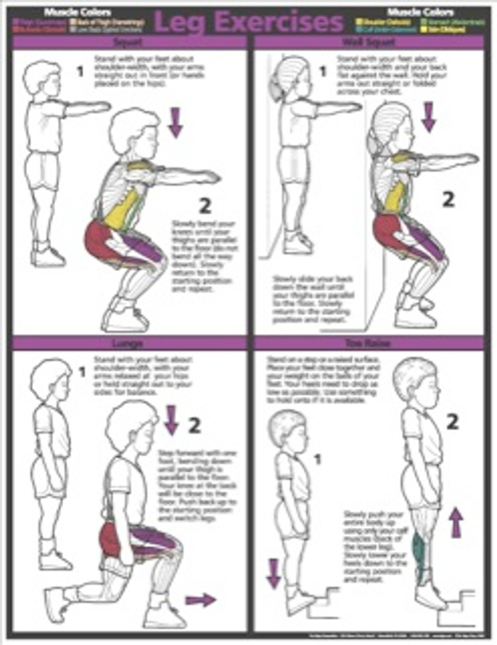 Leg Extension Exercise Machine Poster - Clinical Charts and Supplies