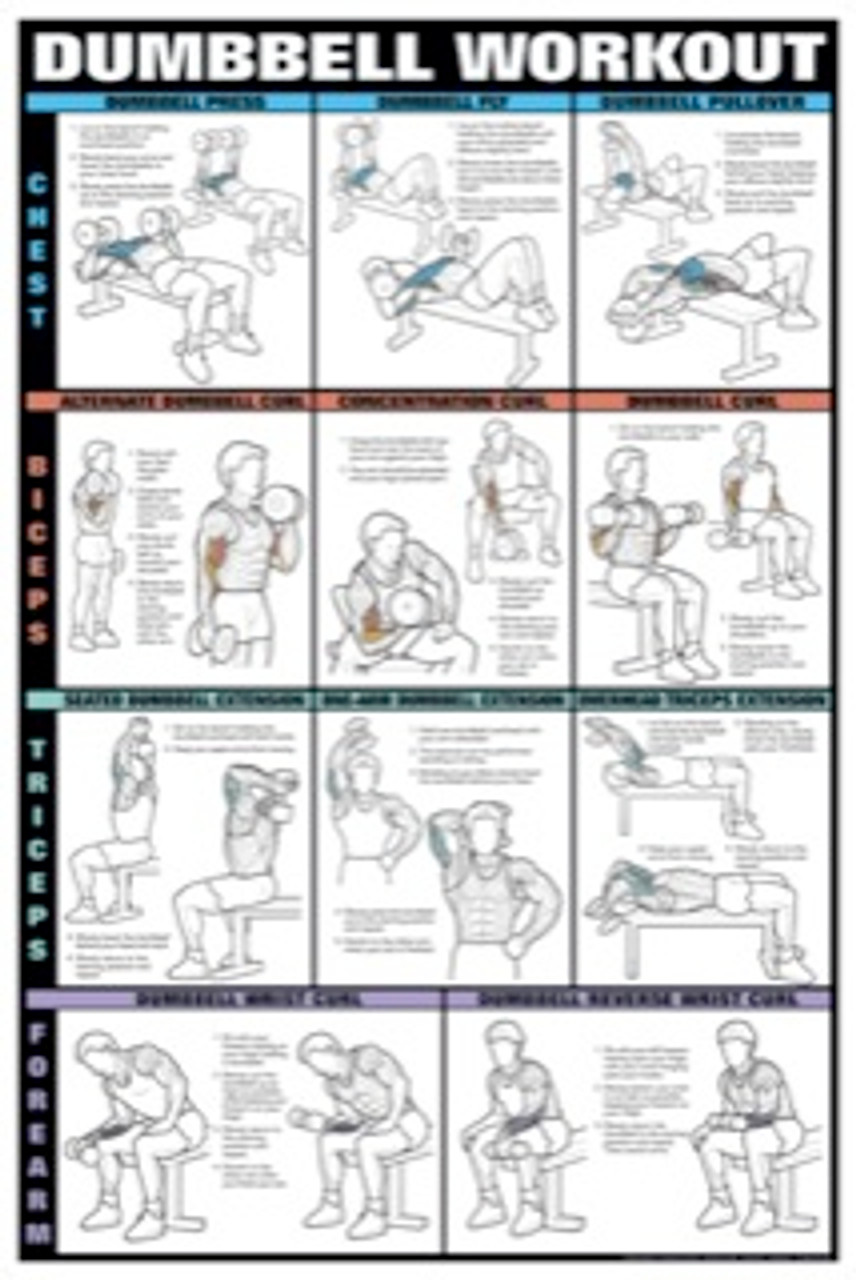 Tricep Workout Laminated Poster 24 x 36