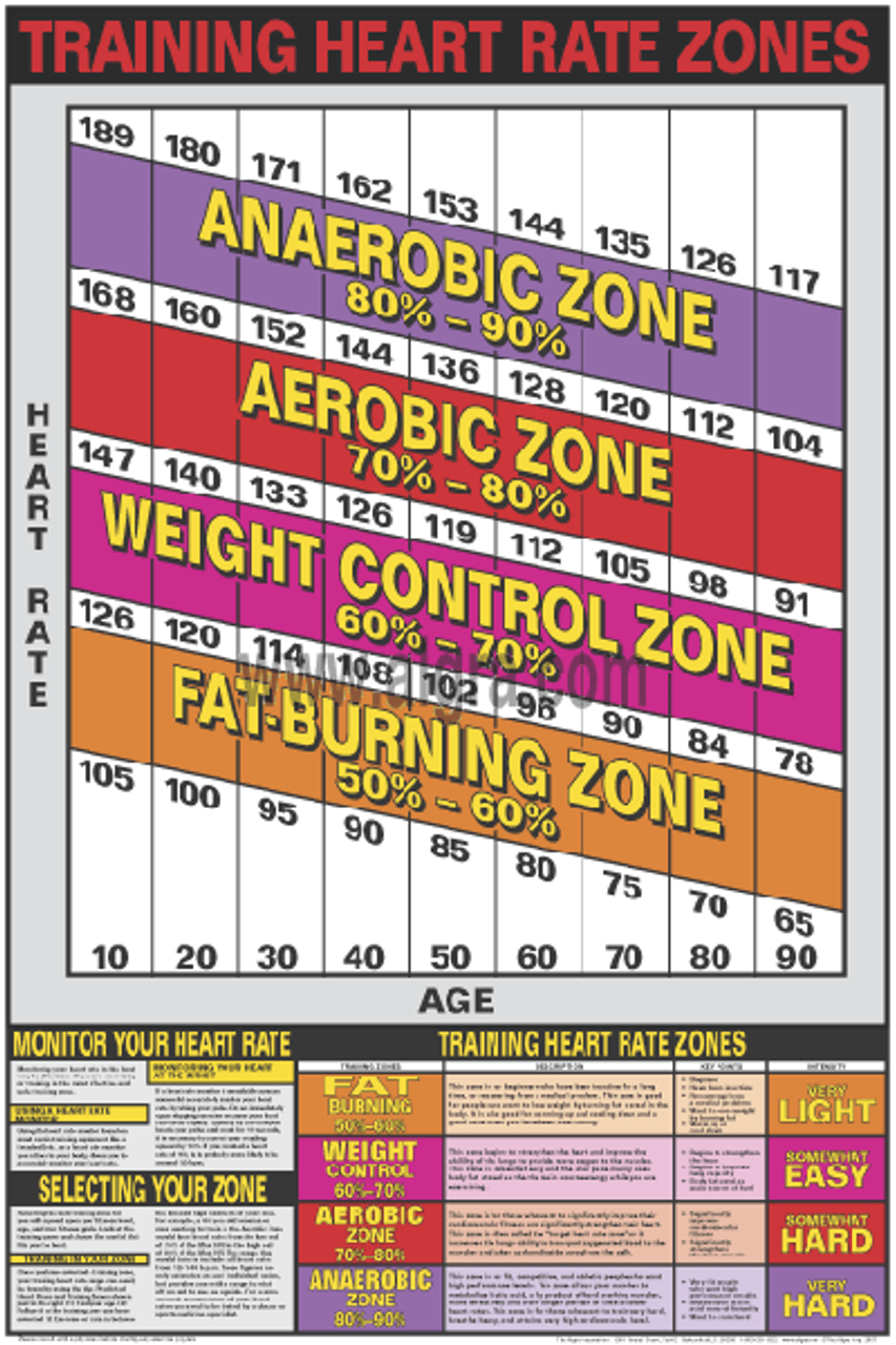 Training Heart Rate Zones Exercise Poster