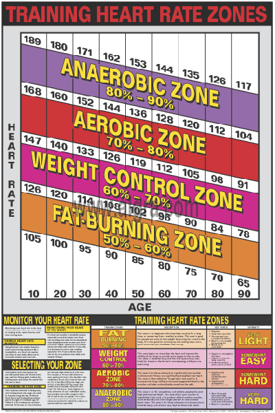 Training Heart Rate Zones Exercise Poster