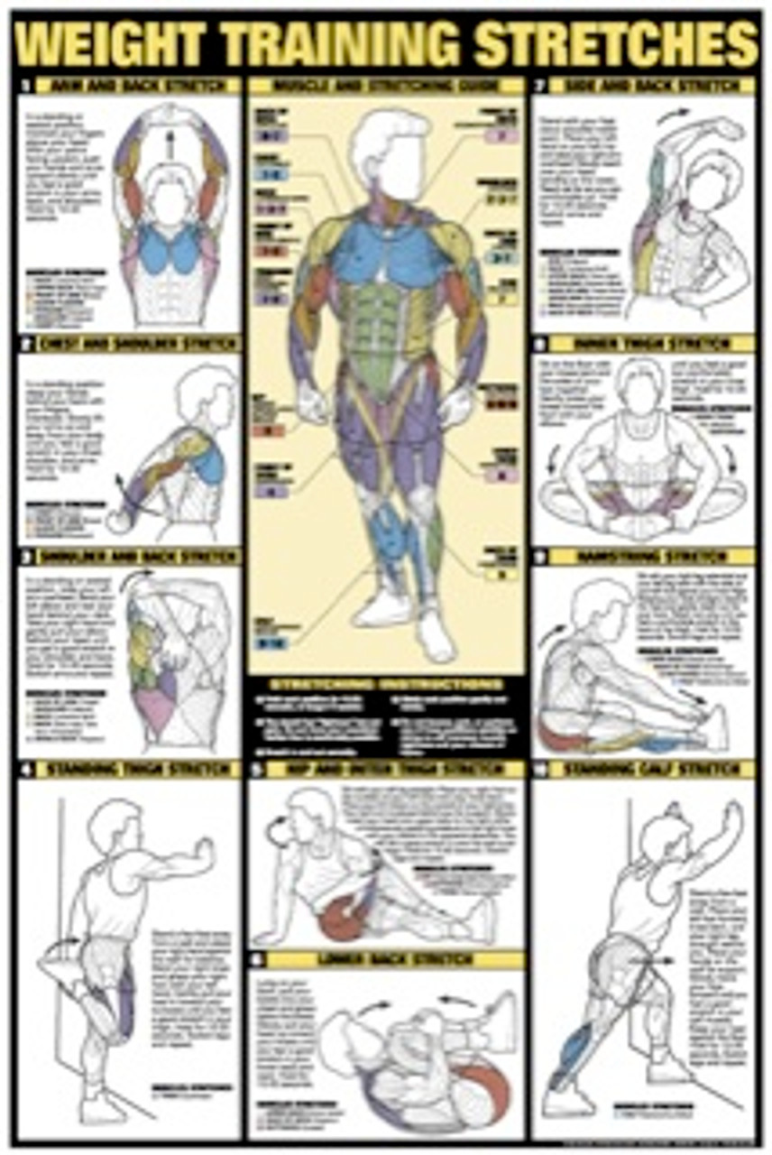 Weight Training Stretchs Poster