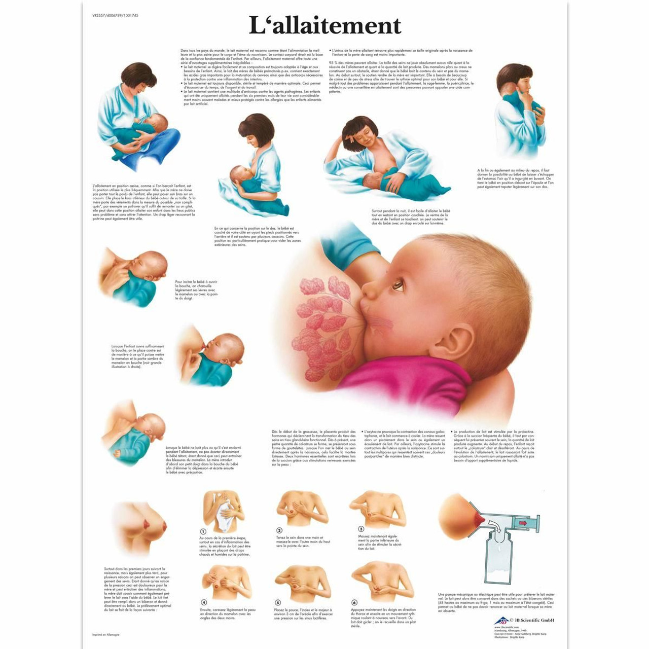 L'Allaitement Chart