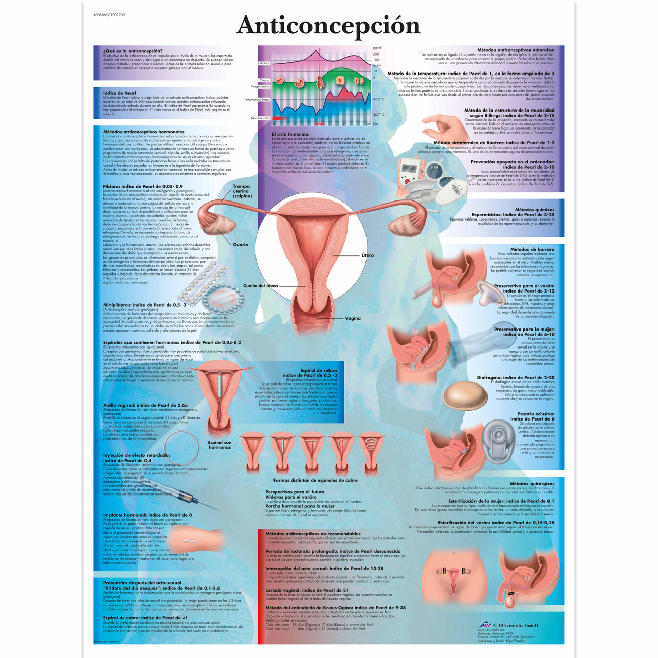 Medical Chart In Spanish