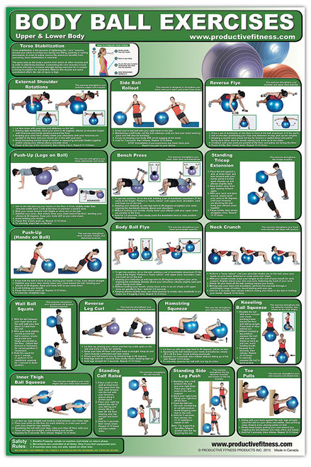 Body Ball Exercises - Upper Body/Lower Body