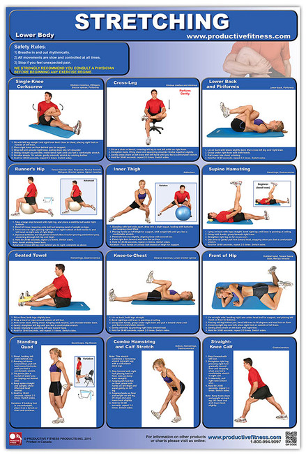 Lower Body Poster
