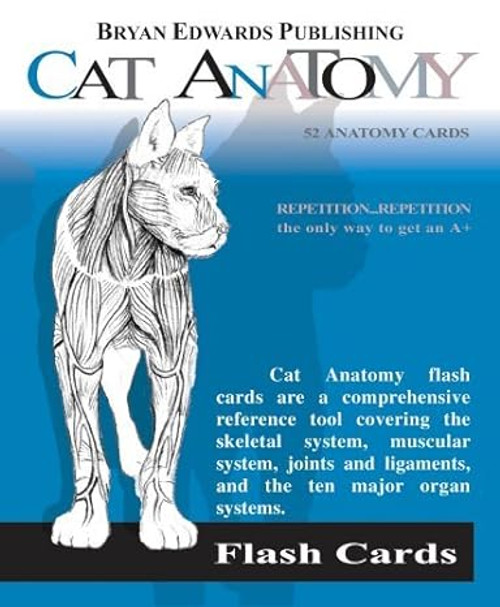 Cat Anatomy Flash Cards