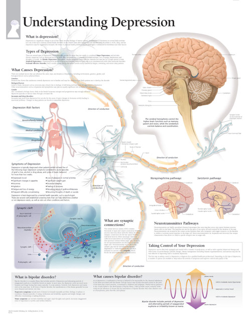 Depression Anatomical Chart