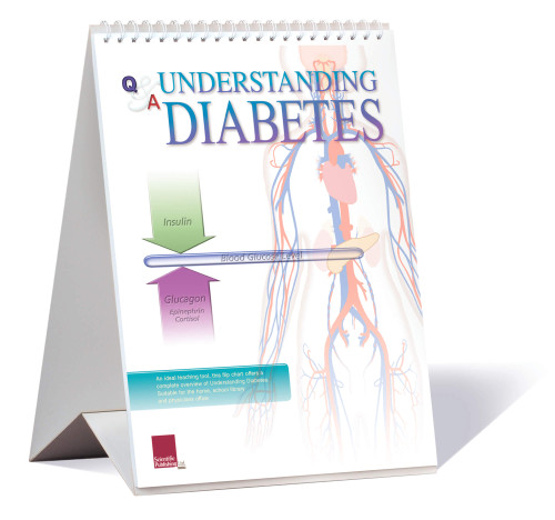 Diabetes Educational Flip Chart