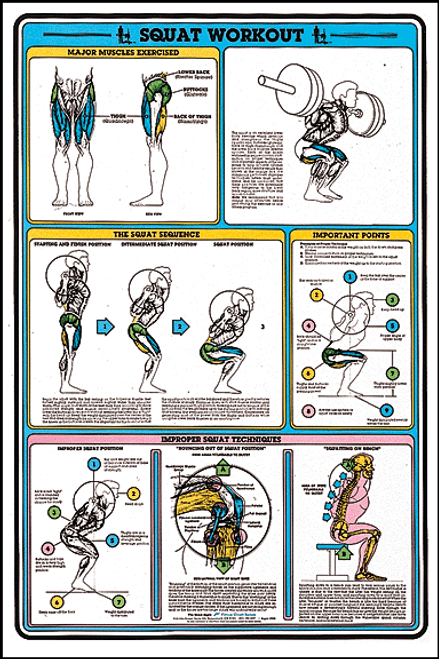 Squat Workout Poster Squat Workout Poster