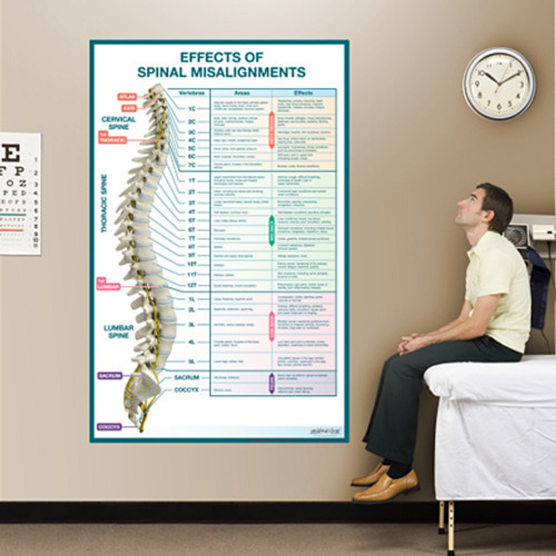 Effects Of Spinal Misalignments Wall Chart