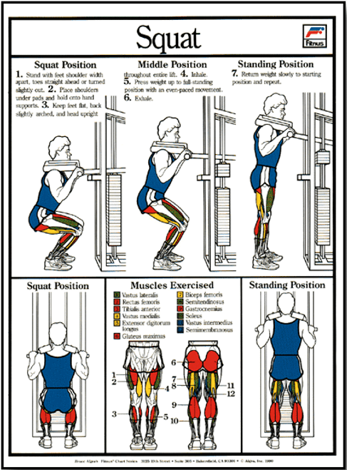 Squat Exercise Machine Poster