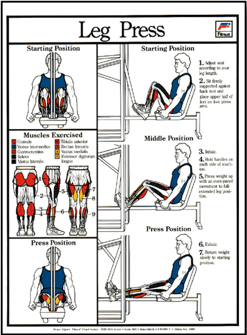 Leg Press Machine Poster Leg Press Machine Poster