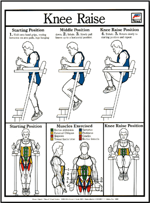 Knee Raise Exercise Poster Knee Raise Exercise Poster