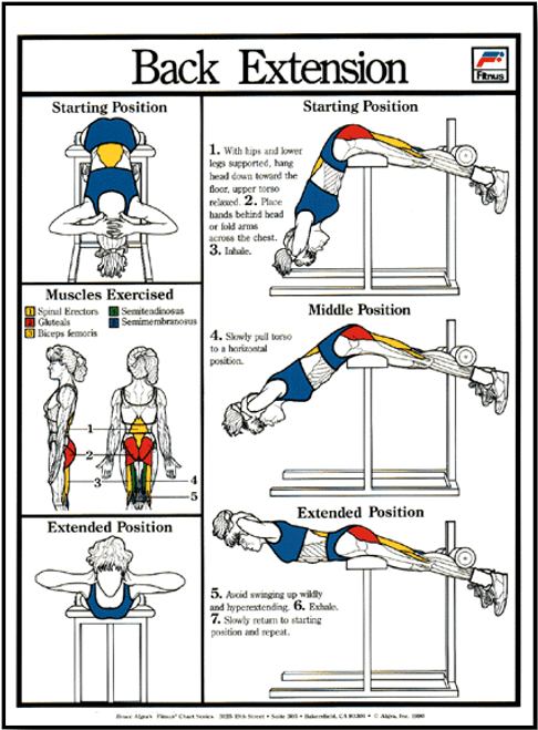 Leg Extension Exercise Machine Poster - Clinical Charts and Supplies