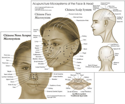 Microsystems of the Face & Head Acupuncture Chart
