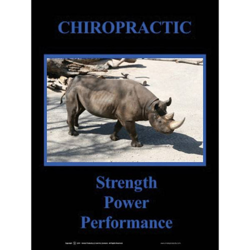 Rhino Poster