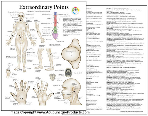 Extraordinary Acupuncture Points Chart Extraordinary Acupuncture Points Chart