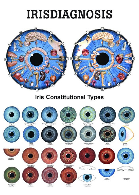 Iridology Poster Iridology Poster