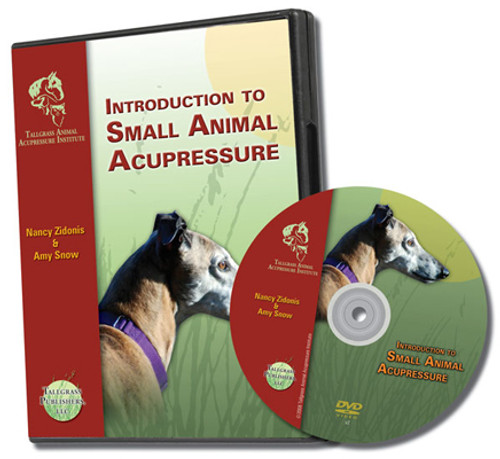 Small Animal Acupressure DVD