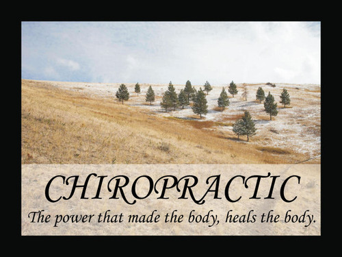 Chiropractic Heals Poster Chiropractic Heals Poster