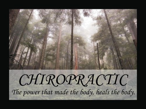 Chiropractic Heals Naturally Chiropractic Heals Naturally
