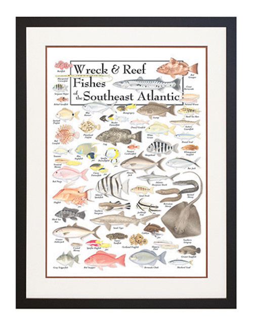 Fishes Poster Fishes Poster