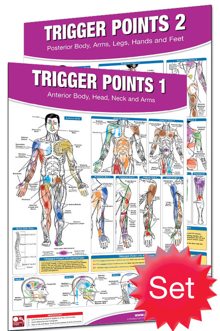 Trigger point posters Trigger point posters