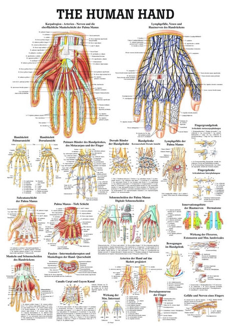 Hand Poster