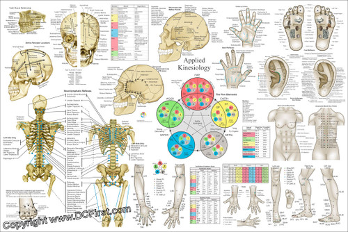 Applied Kinesiology Chart - Clinical Charts and Supplies