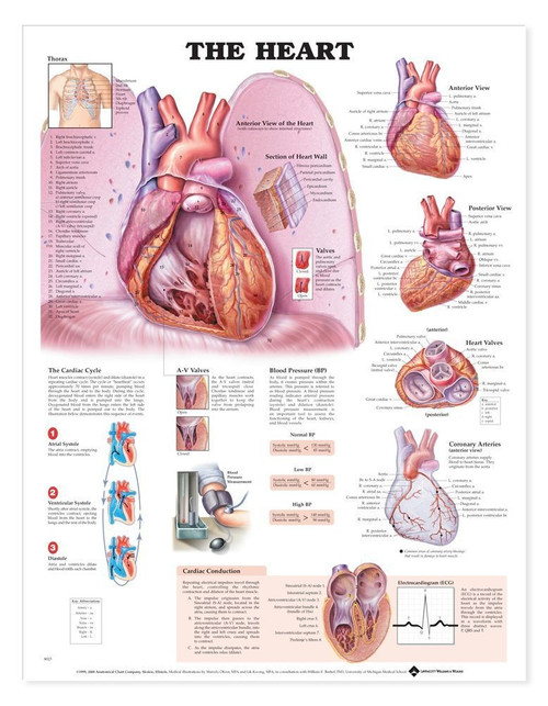 The Heart Poster