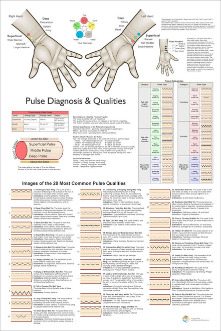 Pulse Diagnosis 24 x 36 Pulse Diagnosis 24 x 36