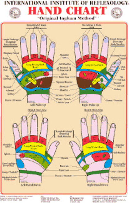 Hand Reflexology Chart