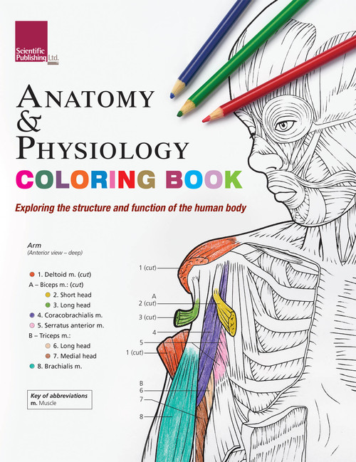 Coloring Book of Anatomy