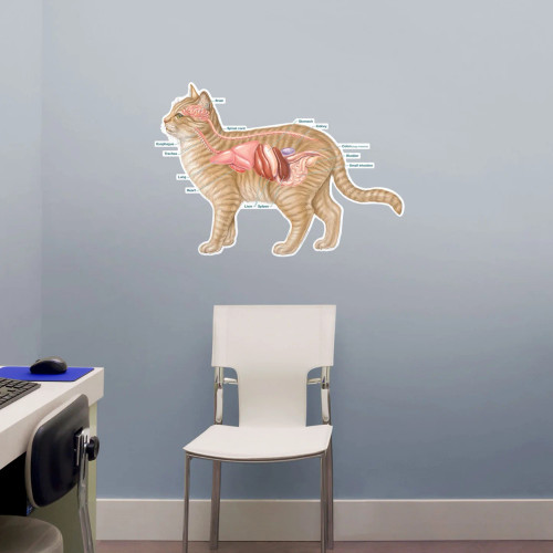 Feline Poster