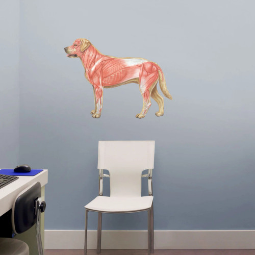Dog Poster