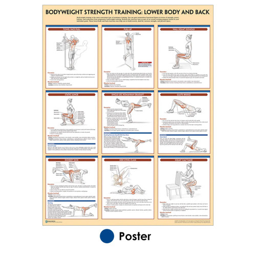 Low Back and Lower Extremity Exercise Poster Low Back and Lower Extremity Exercise Poster