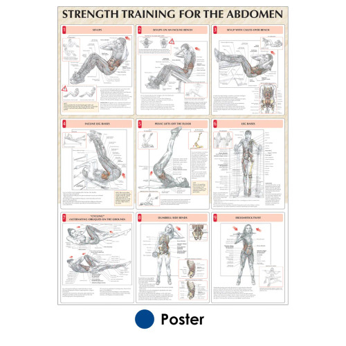 Abdomen Exercises Poster Abdomen Exercises Poster