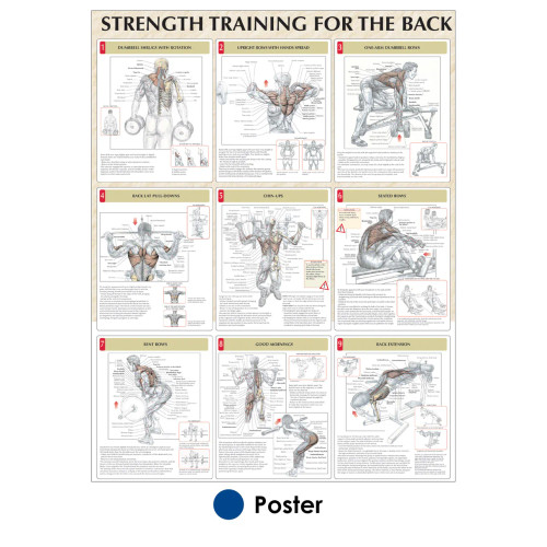 Back Exercise Poster Back Exercise Poster