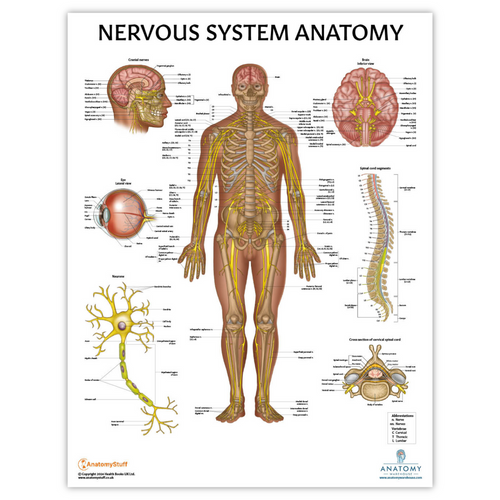 Nervous Poster Nervous Poster