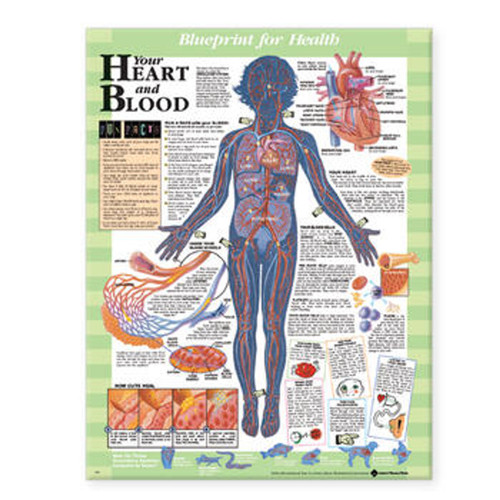 Heart Poster Heart Poster