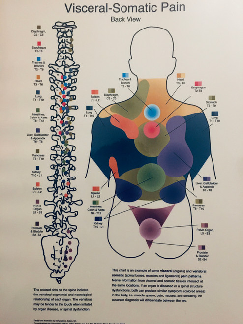 Visceral-Somatic Poster- Back View