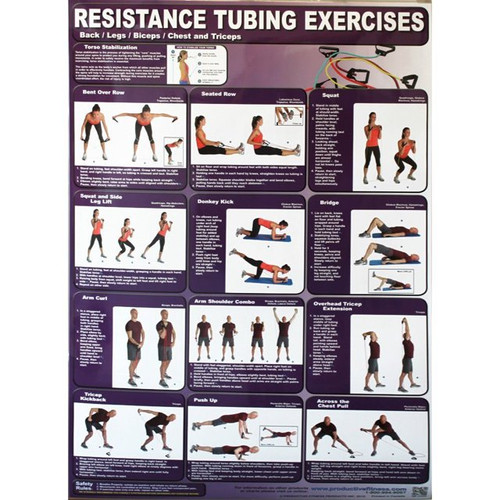 Back,Legs,Chest Bicep and Tricep Poster