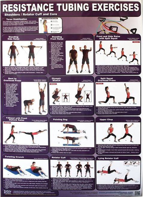 Core and Shoulder Poster