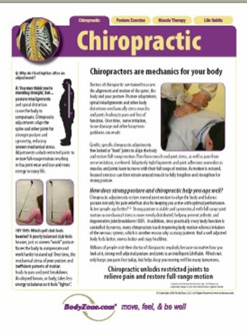 Chiropractic Adjustment Poster