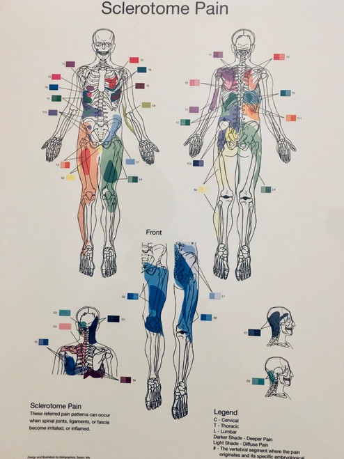 Visceral Somatic Chart