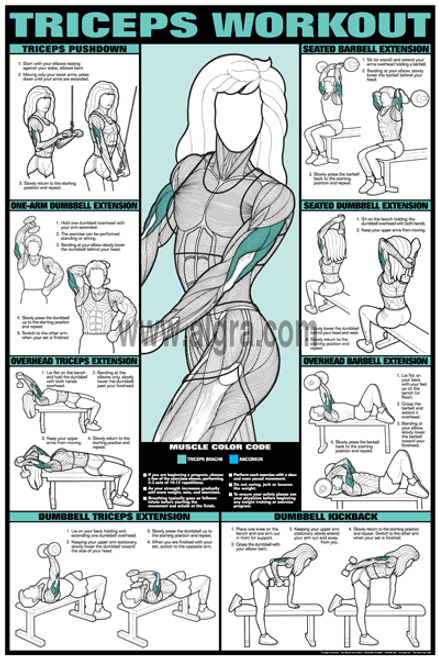 triceps workout poster