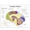 Description card