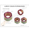 Colon Model Description Card